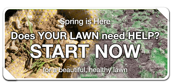 protect it with grassman lawn care