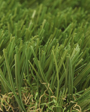 imperial fescue light